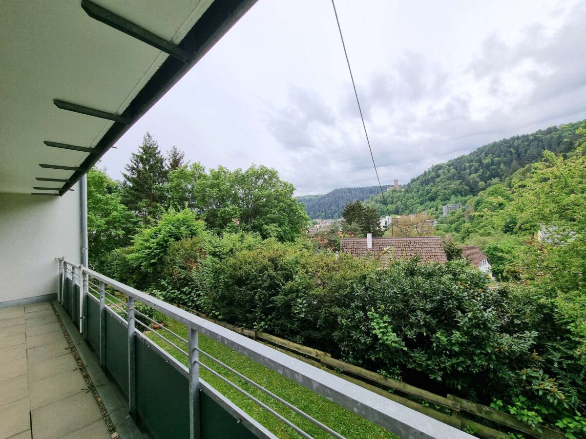 Ausblick